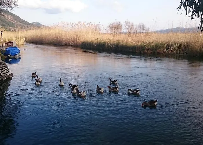 Tatil Apart Hotel apartamentowy