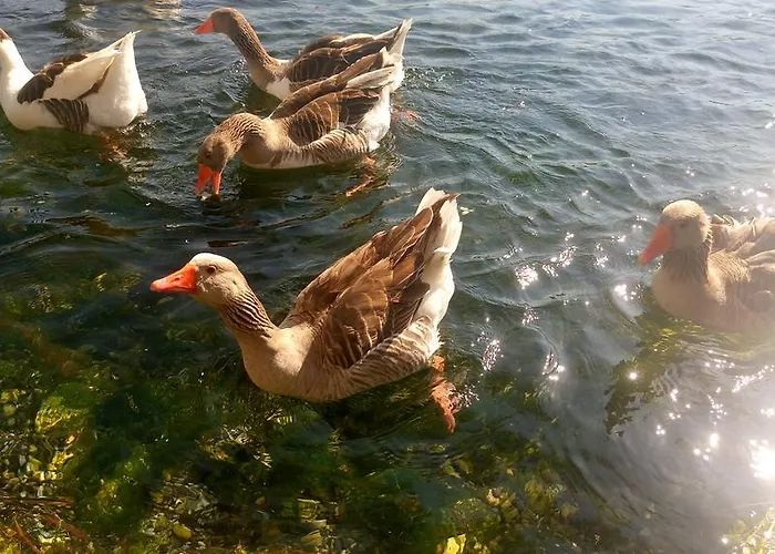 Tatil Apart Hotel apartamentowy Akyaka (Mugla)